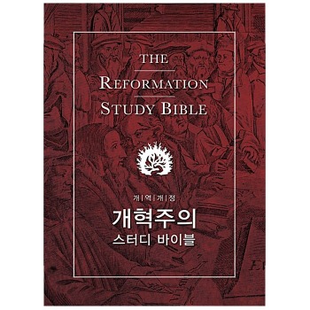 자체브랜드 개혁주의 스터디 바이블 (Reformation Study Bible) - 개역개정