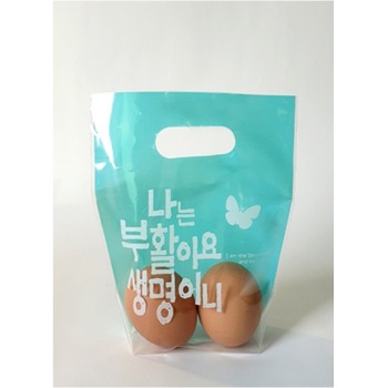 자체브랜드 부활 손잡이 비닐가방 24- 민트나비 (20매입)